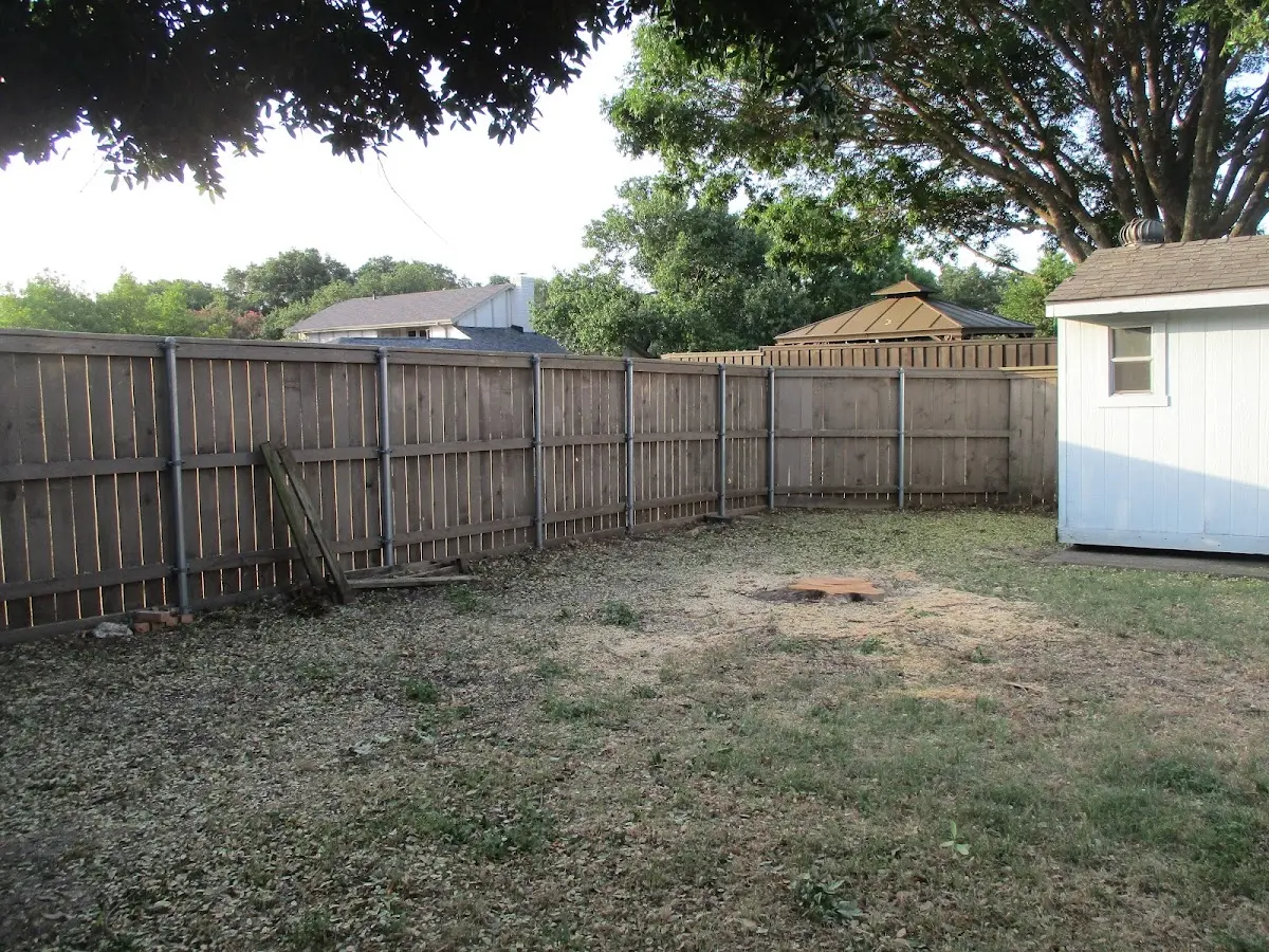 Cleared yard after professional tree removal in La France